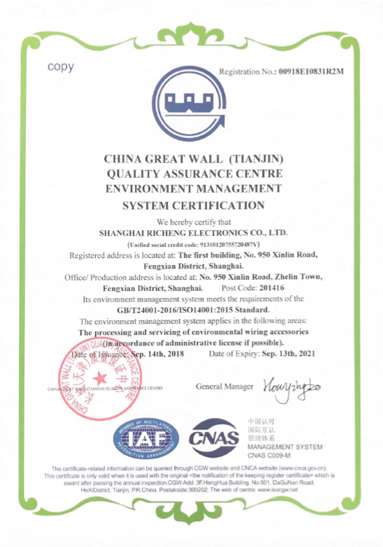 ISO14001英文2017-2021